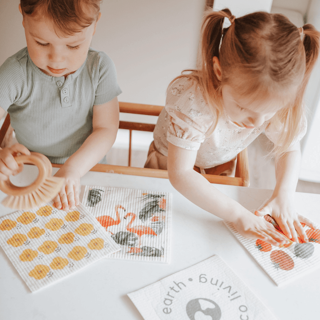 Washable Swedish Sponges - Set of 5